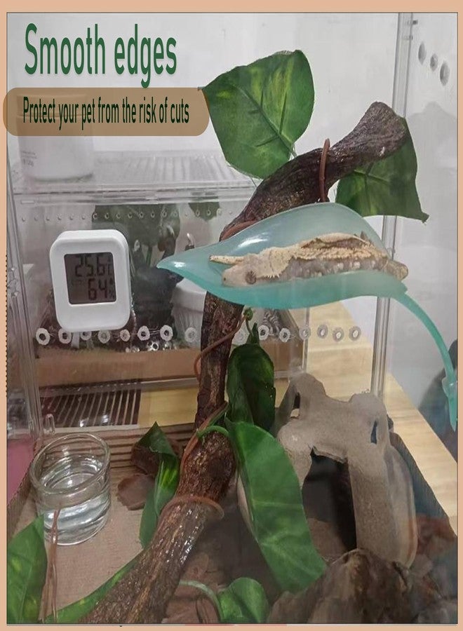 Delllala Crested Gecko Tank Accessories，Crested Gecko Hide，Frog Habitat Platform，Gecko Wall Climbing Toy &Reptile Branches（3PCS） (Light Blue) - Image 5